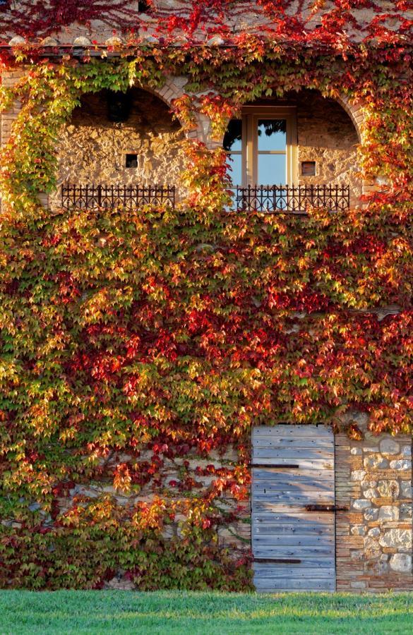 Relais Sant'Elena Panzió Bibbona Kültér fotó