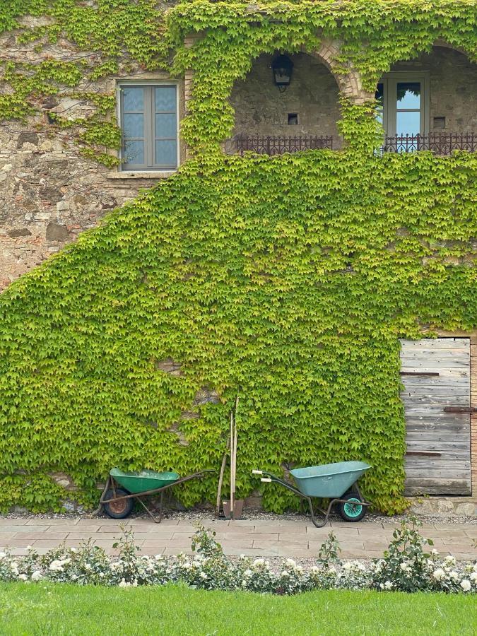 Relais Sant'Elena Panzió Bibbona Kültér fotó