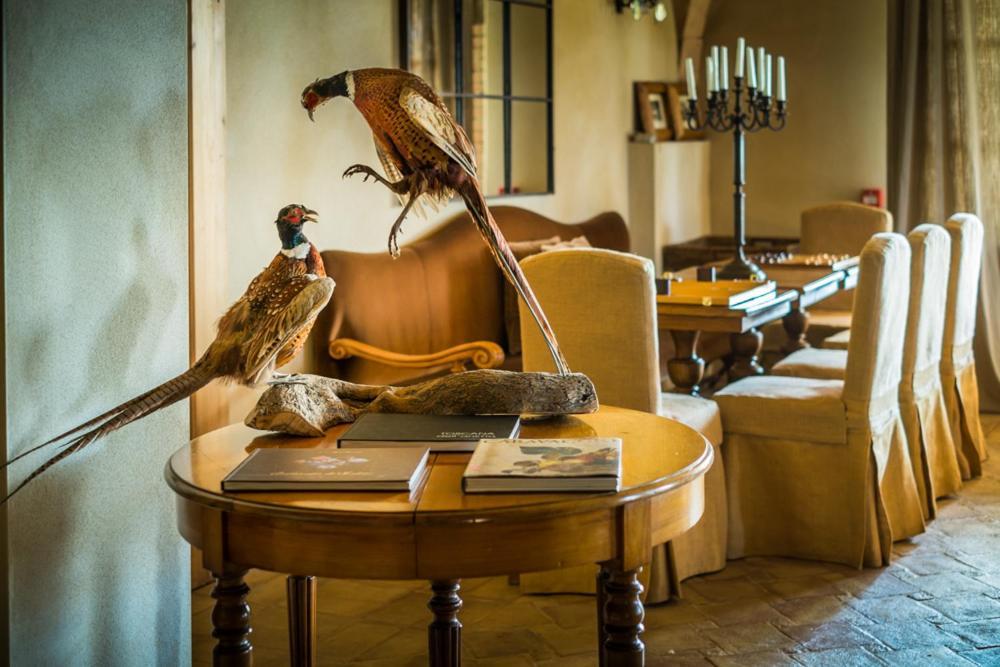 Relais Sant'Elena Panzió Bibbona Kültér fotó