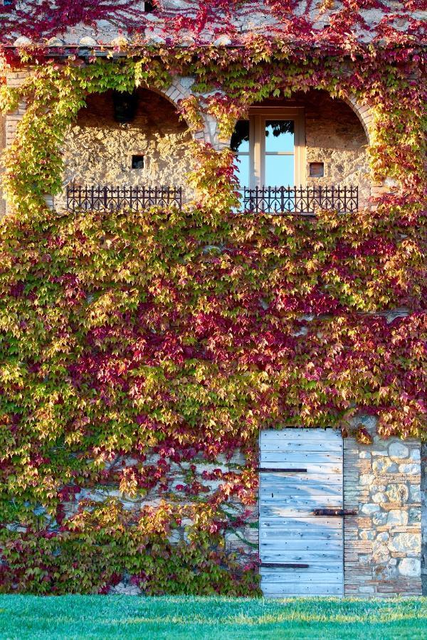 Relais Sant'Elena Panzió Bibbona Kültér fotó